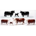 A Beswick Hereford bull, cow and calf Champion of Champions, an Aberdeen Angus bull, cow and calf