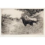 Jackson Henry Simpson (1893-1963) - Spaniel; Setters, two, etchings, both signed by the artist in