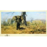 David Shepherd CBE (1931-2017) - The Land of the Baobab Trees, signed and numbered 129/1100 by the