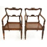 A pair of William IV grained rosewood elbow chairs, with scrolling crest and back rails, on reeded