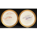A pair of Royal Doulton ichthyological plates, 1913, painted by T Wilson, both signed, with fish