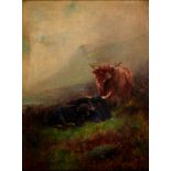 English School, 19th/20th c - Highland Cattle, indistinctly signed, oil on canvas, 61 x 46cm