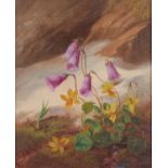 Victorian School - Flowers on a Woodland Bank, a pair, oil on panel, 15 x 12cm Good condition