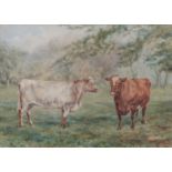 Alfred Mayhew Williams (1823-1903) - Portrait of two Prize Cows, inscribed Lady Wild Eyes, Lady Wild