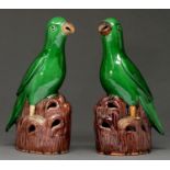 Two Chinese glazed biscuit models of green parrots, early 20th c, with biscuit beak  and foot, on