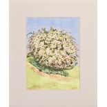 Derek Carruthers (1935-2021) - My Tree and other subjects, titled or untitled, approximately 145,