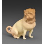 A Royal Worcester model of a pug dog, 1909, in a typical shaded apricot palette, with gilt collar,