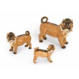 Three graduated German porcelain models of pug dogs, c1900, 24cm h and smaller Decoration slightly