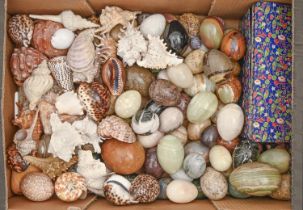 A collection of ornamental mineral eggs and seashells