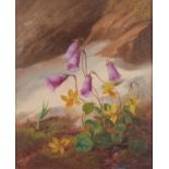 Victorian School - Flowers on a Woodland Bank, a pair, oil on panel, 15 x 12cm (2) Good condition