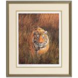 David Shepherd OBE, FRSA (1931-2017) - Cool Tiger, reproduction printed in colour, signed by the