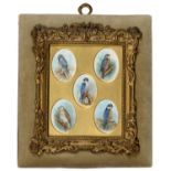 English School, 20th c - Miniatures of Birds of Prey, a set of ten, each inscribed, watercolour,