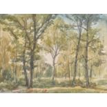 Francis Dodd RA, RWS (1874-1949) - A Copse, signed and dated 1933, watercolour, 23 x 31cm Good