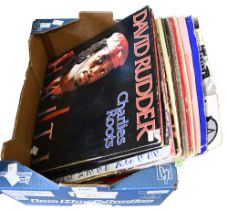 Vintage vinyl records. A used DJ collection, reggae and dancehall (20)