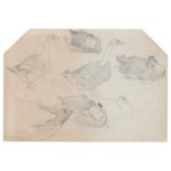 Charles Henry Clifford Baldwyn (1843-1913) - Study of Geese and other birds, signed and inscribed