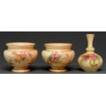Two Royal Worcester fern pots and a vase, 1905, 1906 and 1910, printed and painted with flowers on a