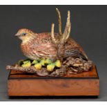A Royal Worcester model of a bob-white quail, designed by Ronald van Ruyckevelt, 1969, on yew wood