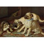 A pair of 19th c chromolithographs of pug dogs and a cat and a cat and kittens, 25.5 x 37.5cm Good