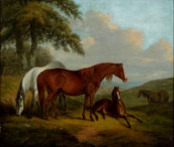 Attributed to Sydenham Edwards (1768-1819) - Mares and a Foal in a Landscape, with signature and