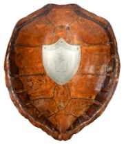 Natural history. A turtle carapace from the cutler's feast of the Company of Cutlers in Hallamshire,