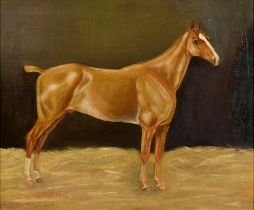 English School, 20th c - Portrait of a Stallion, oil on canvas, 49.5 x 60cm Medium re-touched and