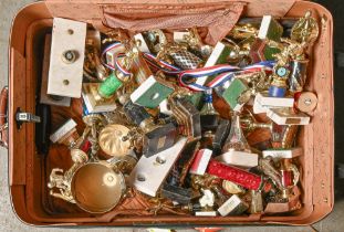 A quantity of Martial Arts and other trophies