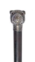 A late Victorian or Edwardian silver pug dog's head novelty cane handle, with glass eyes, 42mm h,