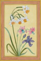 Indian School - Botanical Subjects, one with butterlfies, a pair, ink and wash with gold in blue and