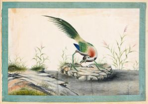 Thirteen Chinese rice paper paintings, first half 19th c, subjects comprising figures (6), birds (