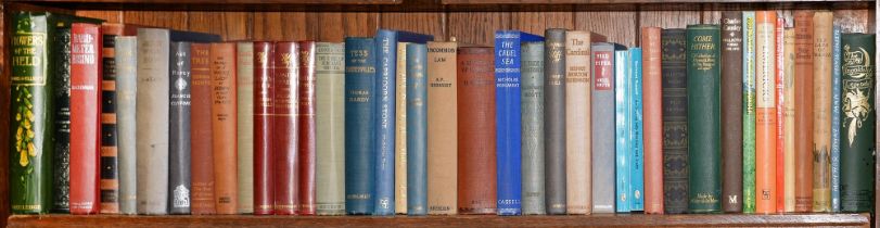 Books. Twelves shelves of general stock, including Rackham (Arthur, illustraor), The Ingoldsby