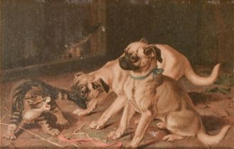 A Victorian miniature chromolithograph of pug dogs and a tabby cat after H H Couldery, in