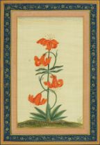 Indian School - Botanical Subjects, a pair, ink and watercolour in blue and pink and gold border,