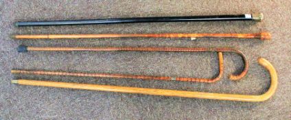 An assortment of walking sticks.