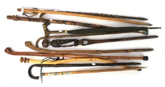 An assortment of walking canes and sticks.