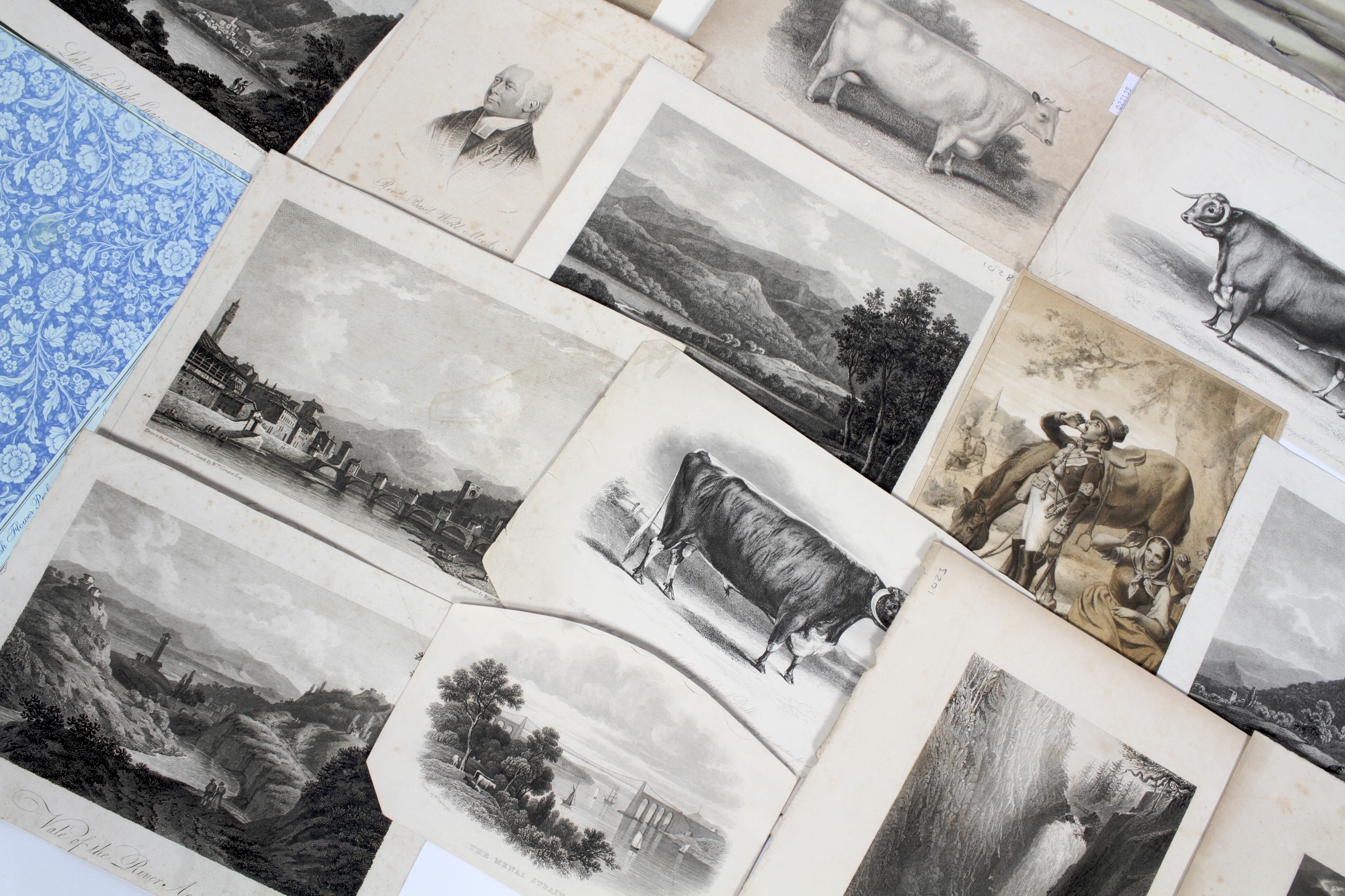 An assorted group of 18th and 19th century engravings. - Image 2 of 3