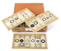 A vintage wooden box of prepared microscope glass shades.