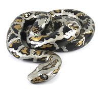 A plaster coiled python snake ornament painted black, silver and gold.