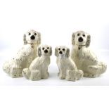 Two pairs of Staffordshire spaniels.