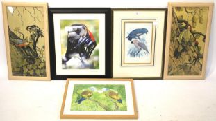 A collection of ornithological paintings and prints.