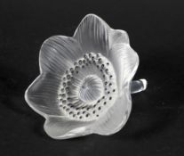 A Lalique frosted glass model of an anemone.