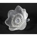 A Lalique frosted glass model of an anemone.