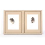 A pair of watercolour studies of mice, each signed Rowan. Watercolour on paper, framed,