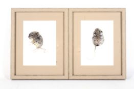A pair of watercolour studies of mice, each signed Rowan. Watercolour on paper, framed,
