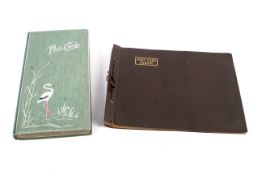 Two vintage postcard albums with a good assortment of early 20th century black and white