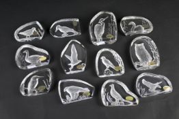 Twelve Wedgwood glass paperweights.