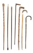 A collection of seven 19th century and later walking sticks and canes,