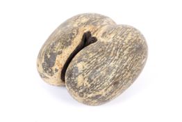 A coco de mer seed pod.
