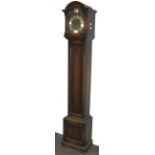 A granddaughter long cased clock.