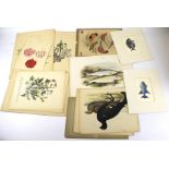 An assortment of 19th century and later botanical and animal prints. Featuring birds, plants, etc.