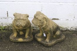 A pair of stone bulldogs garden ornaments. H40cm.